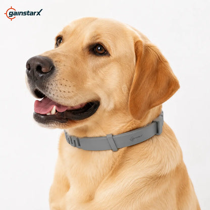 Gainstarx Adjustable Dog Collar with Fresh Scent Comfortable Lightweight Pet Collar for Large Dogs over 18 Lbs Everyday Wear for Walks and Outdoor Use